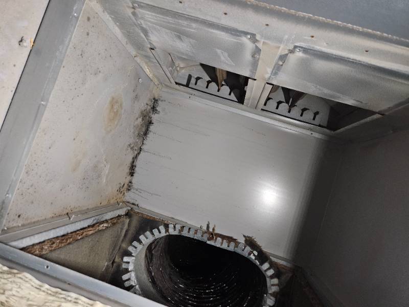 Las Vegas Compressor Repair project photo by BruceAC